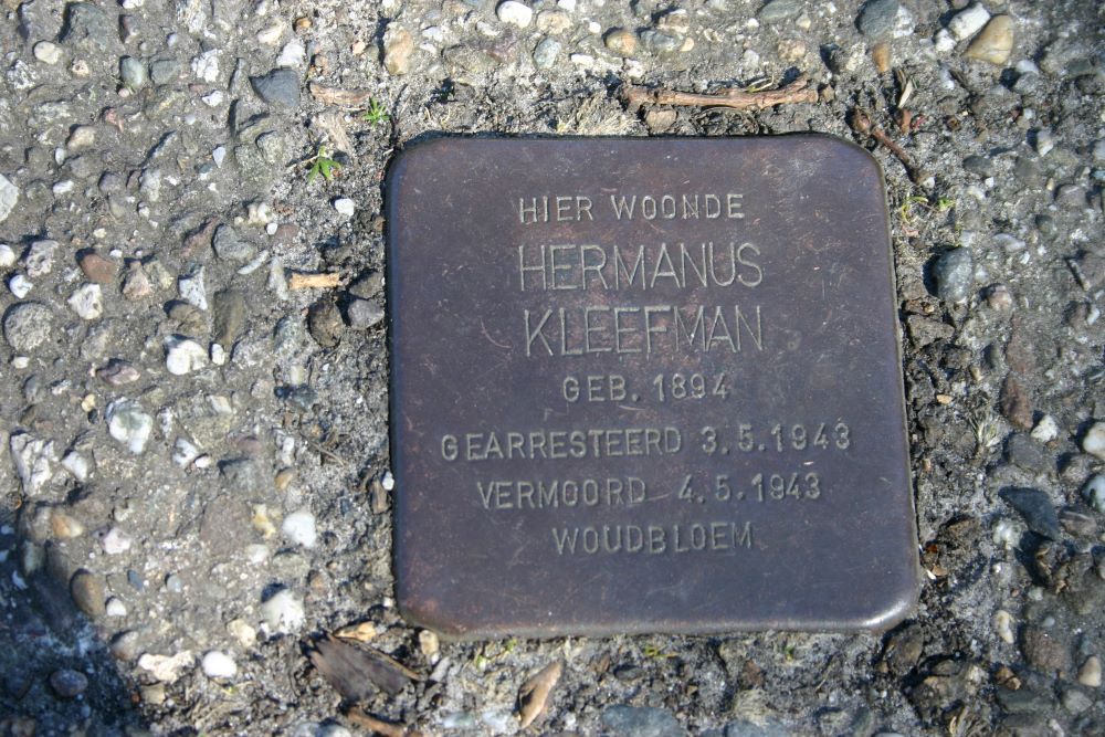 Stolperstein Borgweg 98 #1