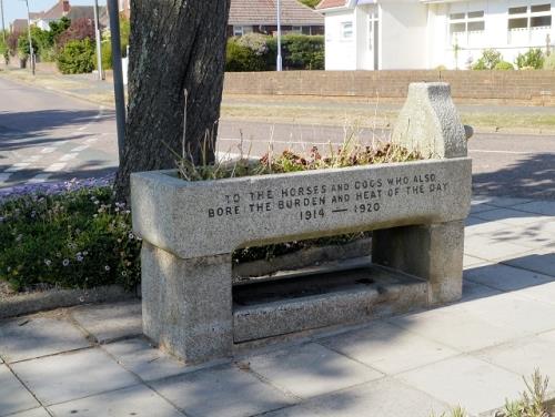 War Memorial Lake #2