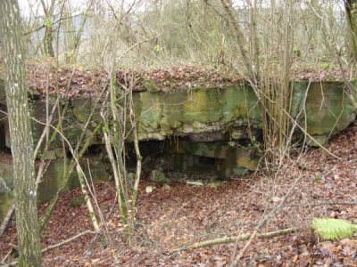 Westwall - Restant Bunker Irrel #3