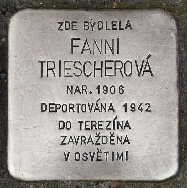 Stolpersteine Zeyerova 850/14 #3