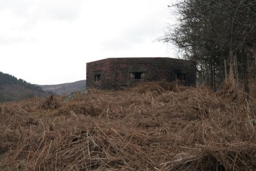 Pillbox FW3/22 Llanwrthwl #2