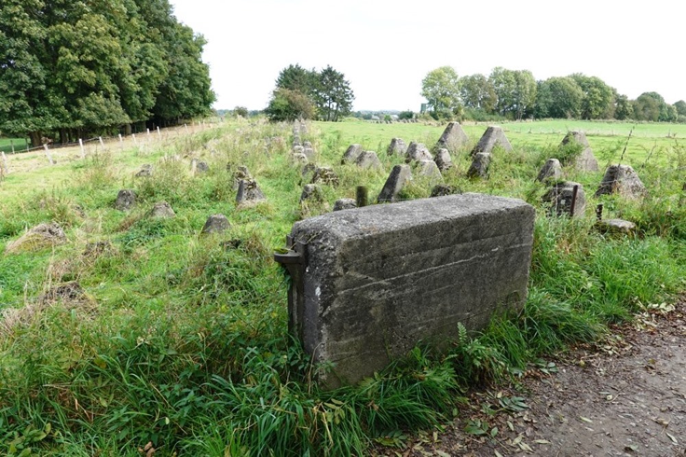 Westwall - Tankversperring Weinweg #1