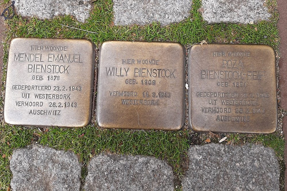 Stolpersteine Kleiweg 37 #1