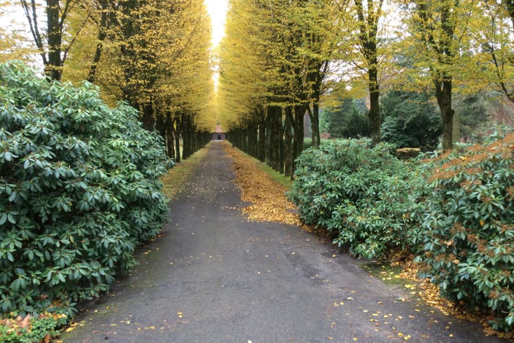 Gemeentelijke Begraafplaats Koningsvaren