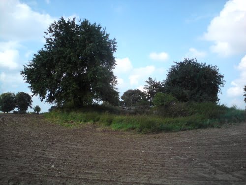 Pommernstellung - Restant Bunker Rutwica