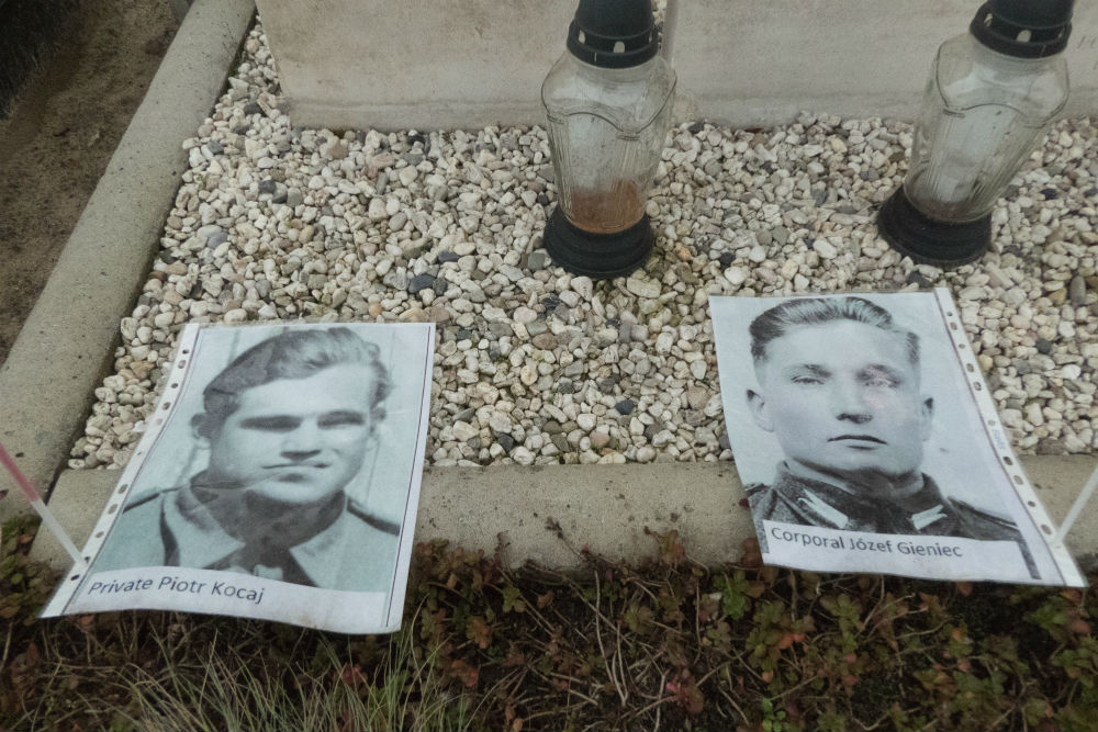 Polish War Graves Roman Catholic Cemetery Sint-Michielsgestel #1