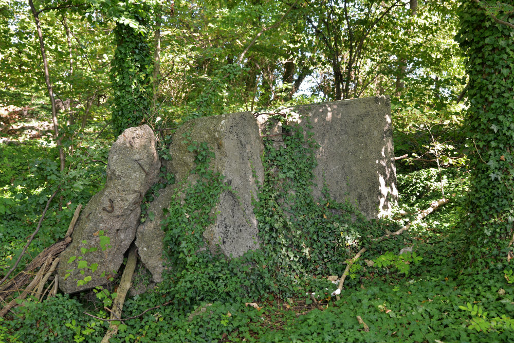 Remains Bunker Lemiers