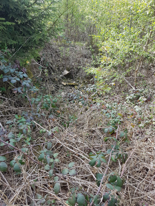 German Fox Holes Wirftal