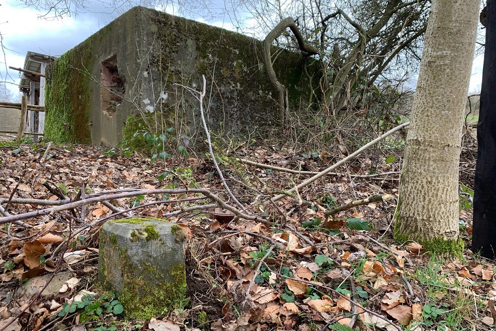 Bunker D - Position Avancée Malmedy #5