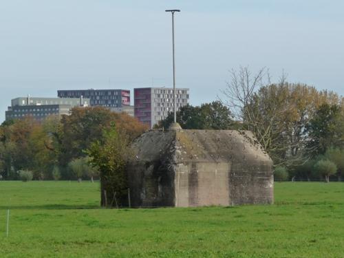 Group Shelter Type P Scheidingslaan