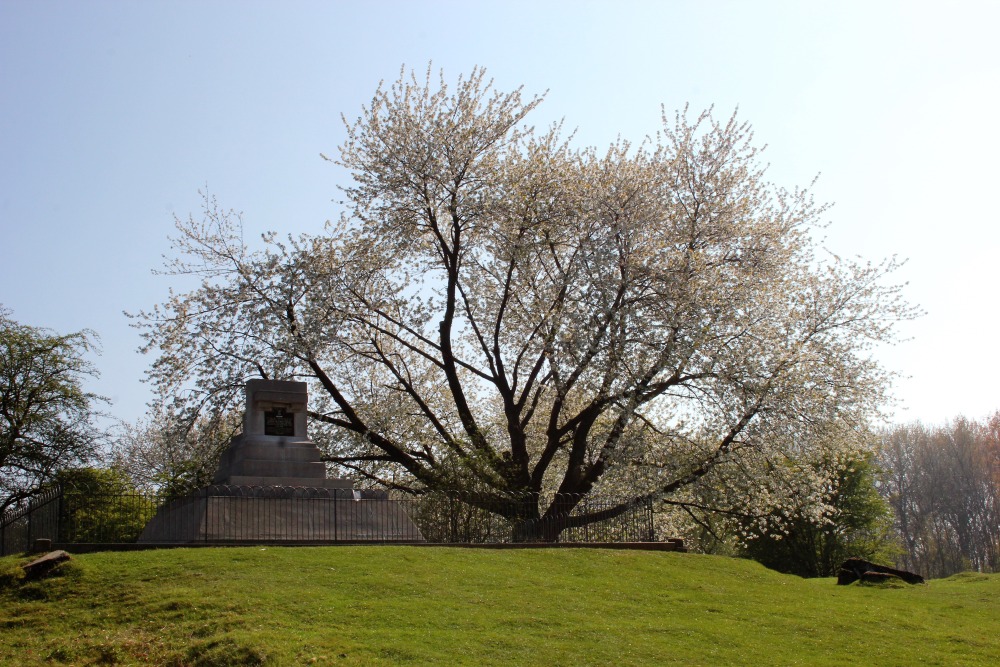 Memorial Site Hill 60 Zillebeke