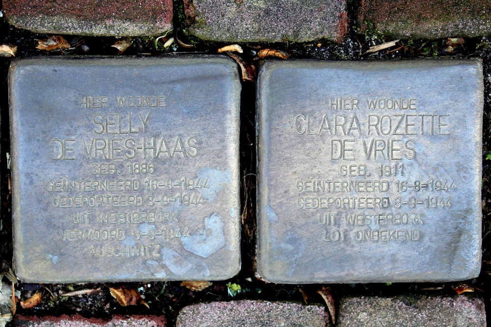 Stolpersteine Bosweg 36 #1