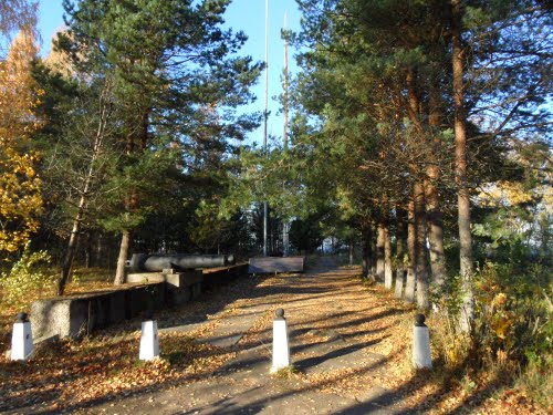 Mass Grave Bolsheviks & Soviet Soldiers Lebyazhye