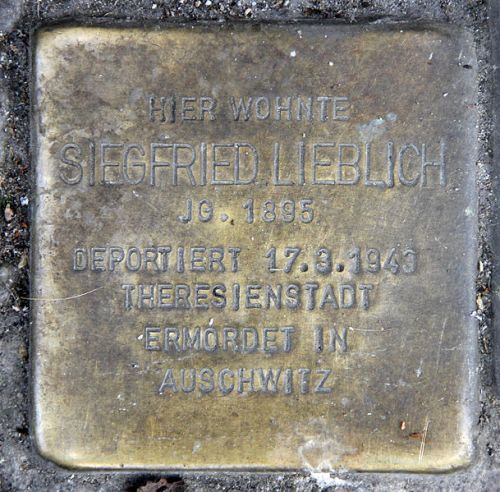 Stumbling Stones Wrangelstraße 94 #2