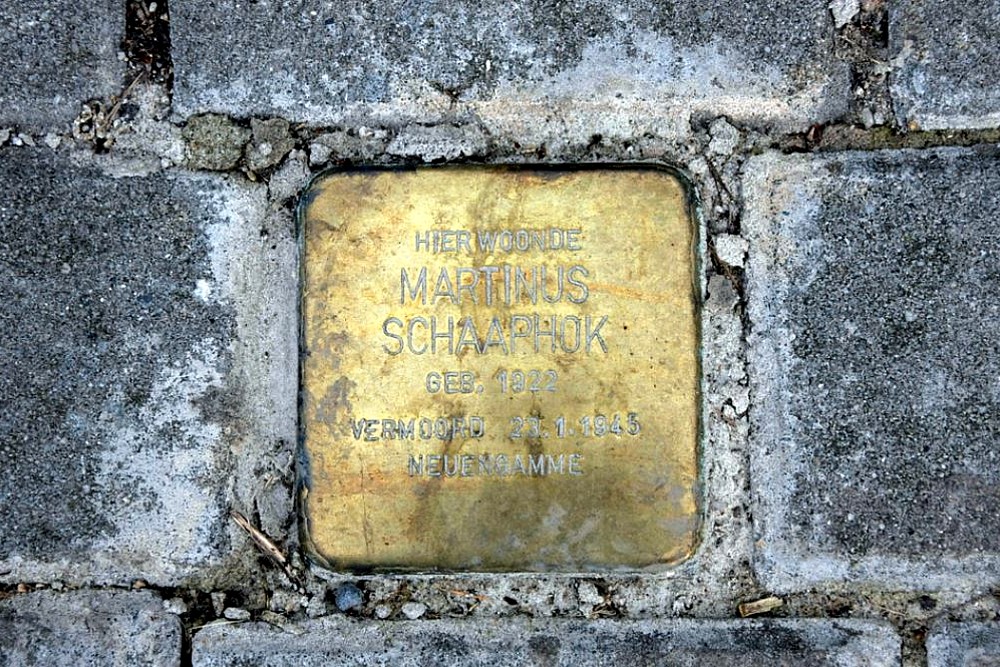 Stolperstein Ellerhuizen 22 #2