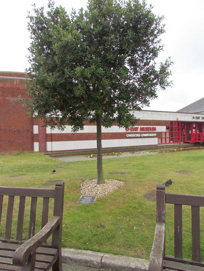 Tree in Memory of Holocaust Victims #1