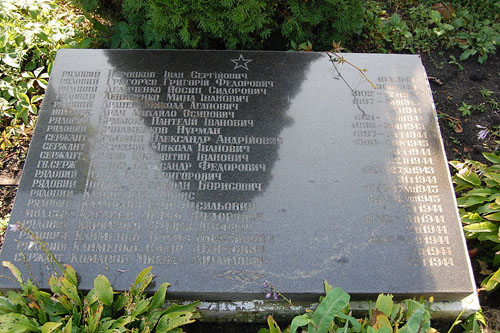 Sovjet Oorlogsgraven Zverynetskiy #3