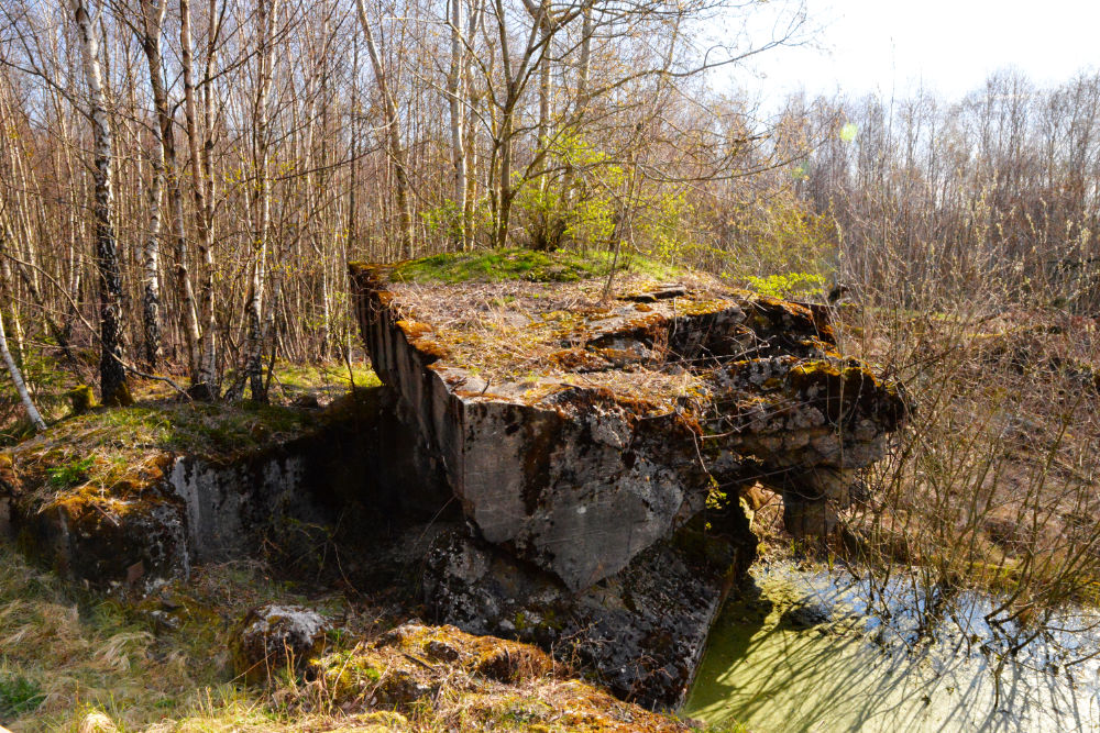 Bunker 359/360 Todtenbruch #8