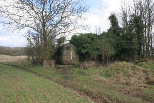 Pillbox FW3/28 Theale #3