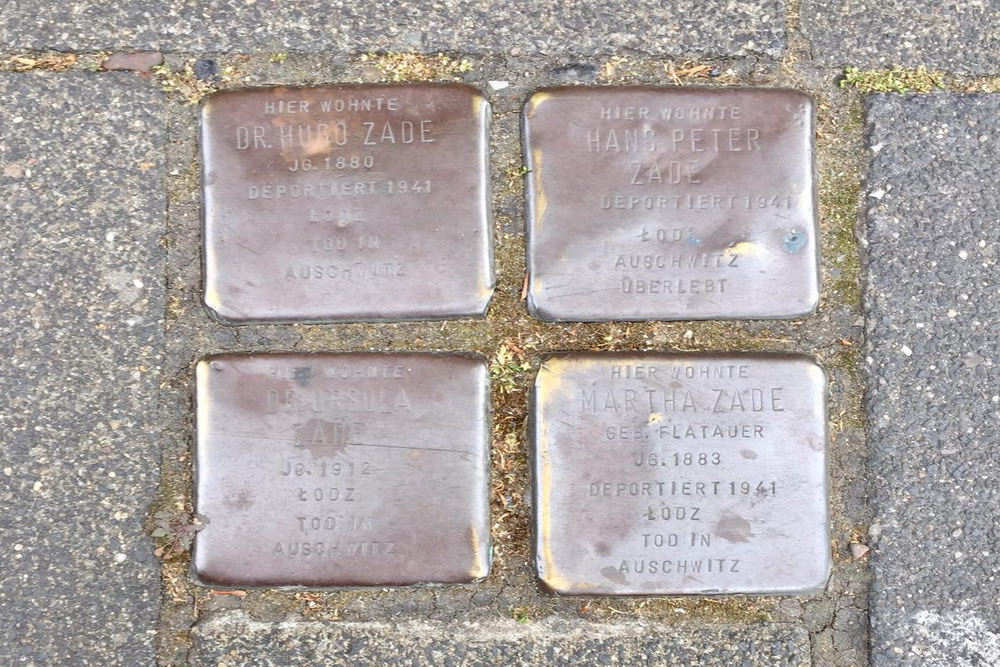 Stolpersteine Salierring 50 #1