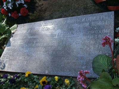 Mass Grave Soviet Soldiers Komarovo #2