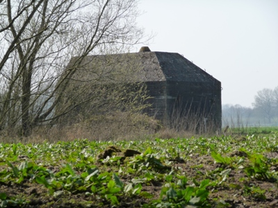 Groepsschuilplaats Type P Spijkse Kweldijk