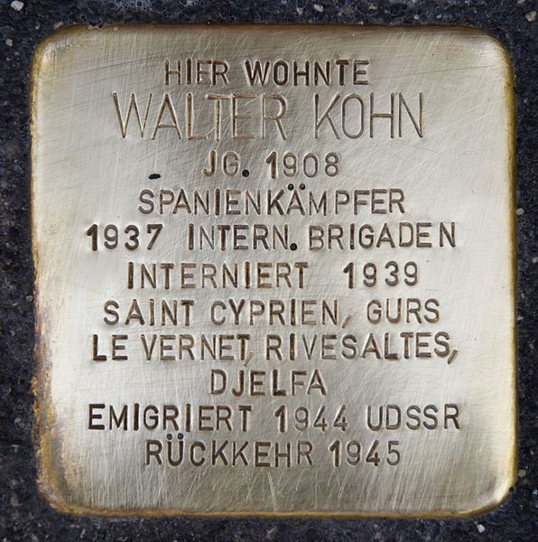 Stolpersteine Strauchergasse 19 #3