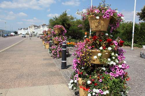 Oorlogsmonument Exmouth #5