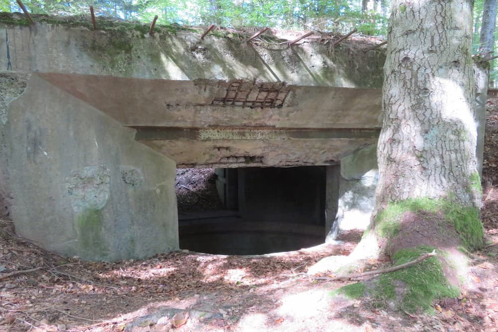 Geschutsbunkers Col du Donon #2