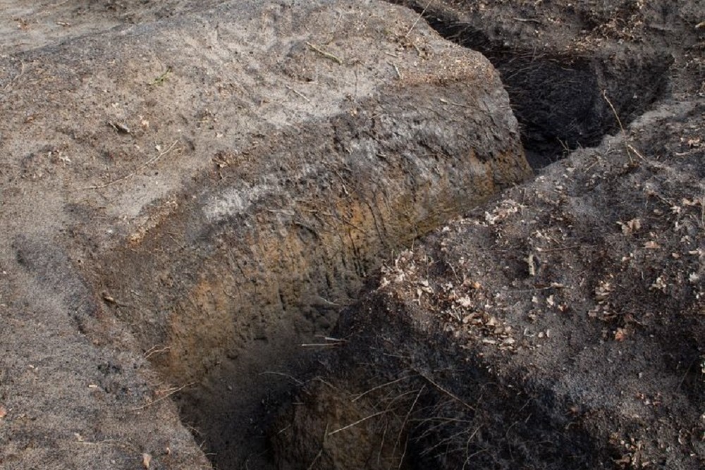 Duitse loopgraven Baarle Nassau #2