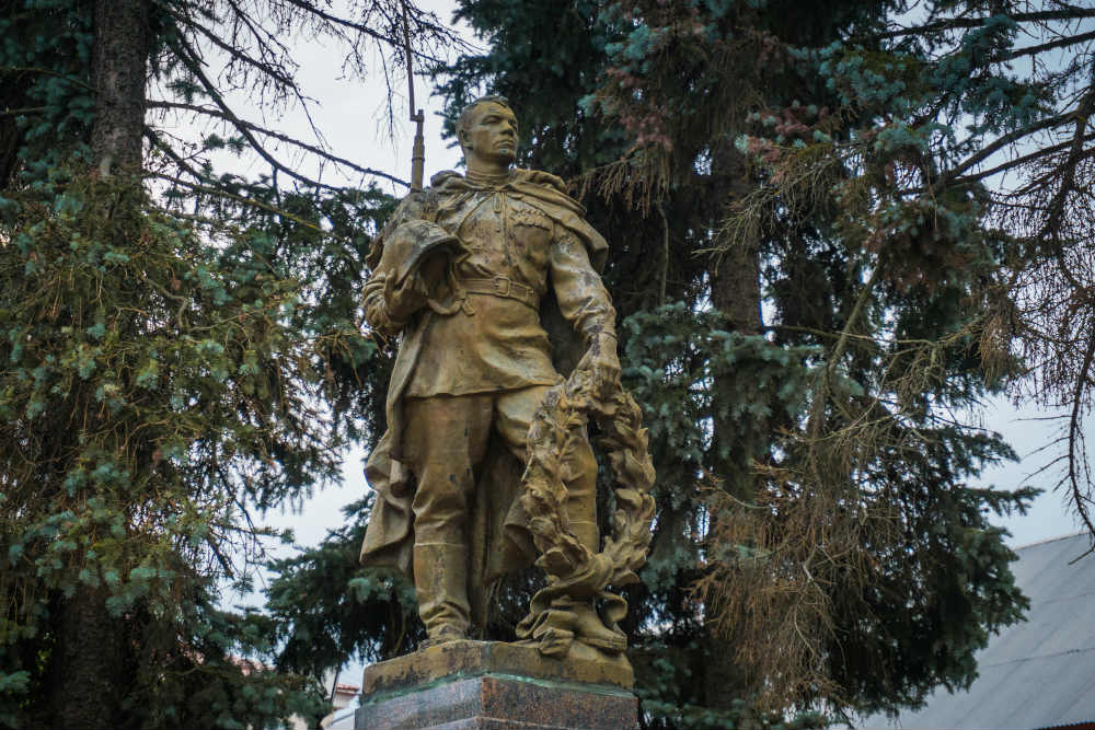 Memorial Perished Soldiers Solnechnogorsk #1