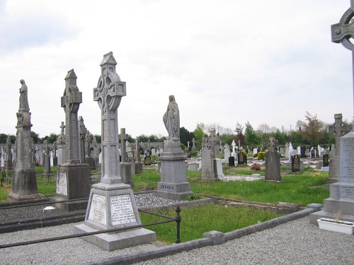 Oorlogsgraven van het Gemenebest Navan New Cemetery #1