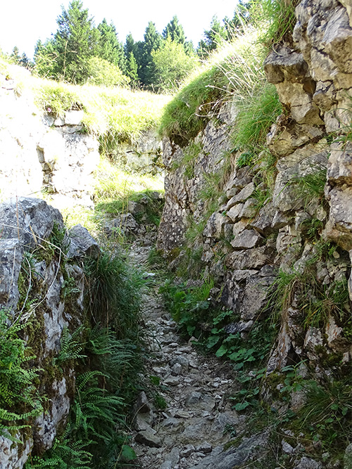 Italian Trench #2