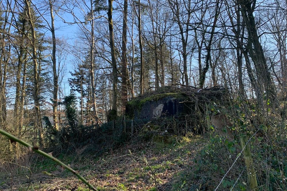 Bunker BV 1 Jevoumont #1