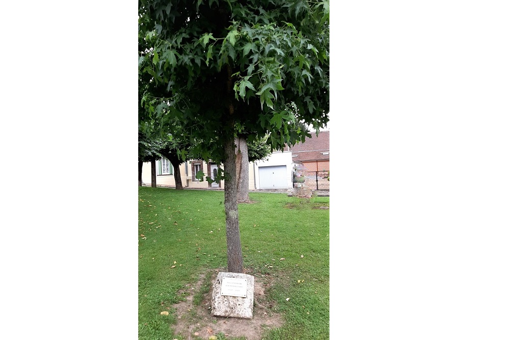 Memorial Tree Courville-sur-Eure #1