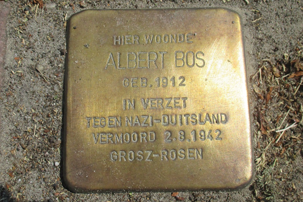 Stolperstein Hanekampswijk 49