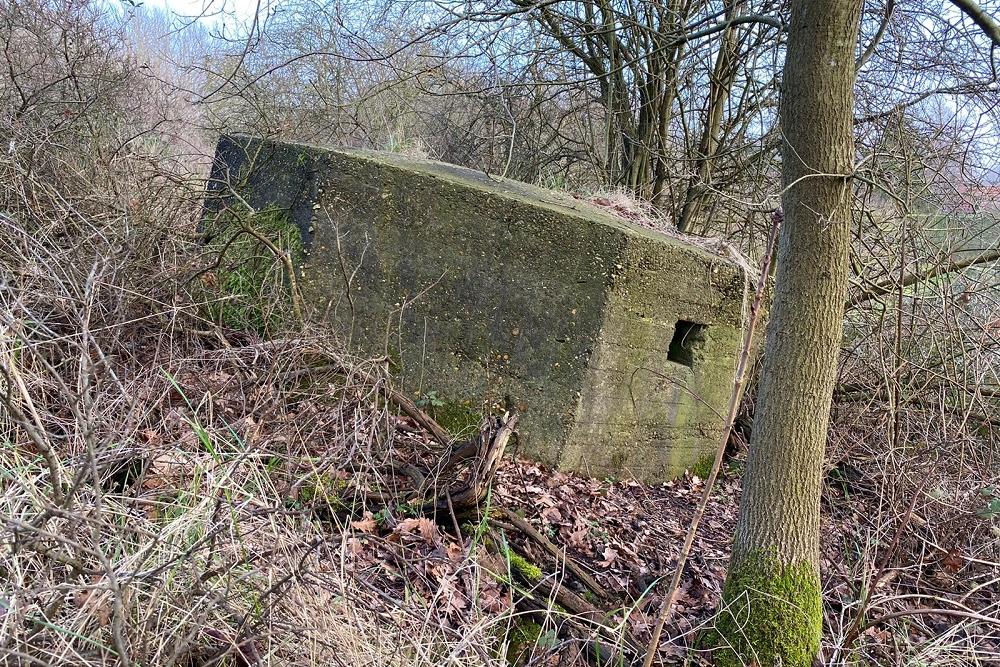 Bunkers Atlantikwall Havenhoofd #3