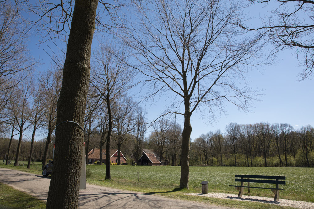 Commemorative Tree Korenburgerveen #1