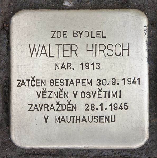 Stolpersteine B. Němcov 146/1 #3