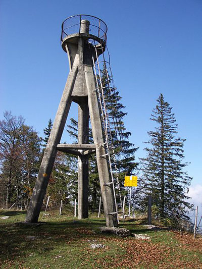 Swiss Observation Tower #1