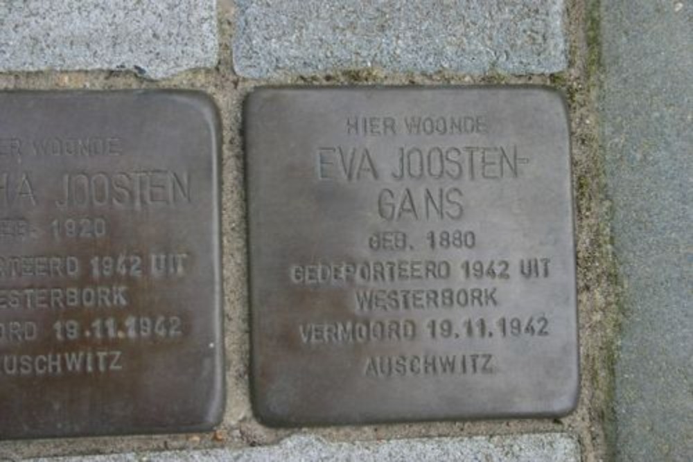 Stolpersteine Esweg 19 #4