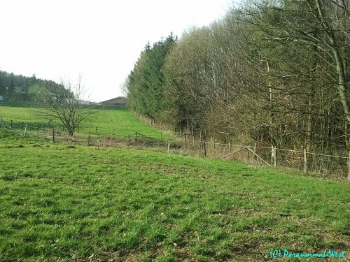 Westwall - Voormalige Mijnenveld 