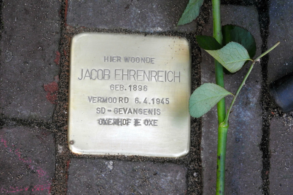 Stolperstein Brink 50 (nu Brink 46) #1