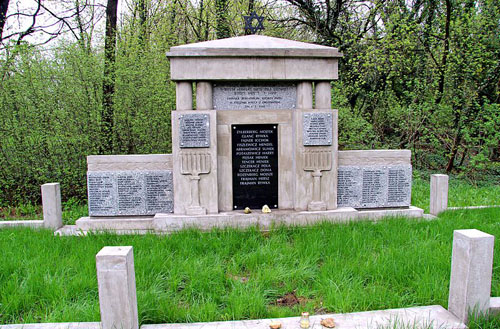 Jewish Cemetery Czestochowa #1