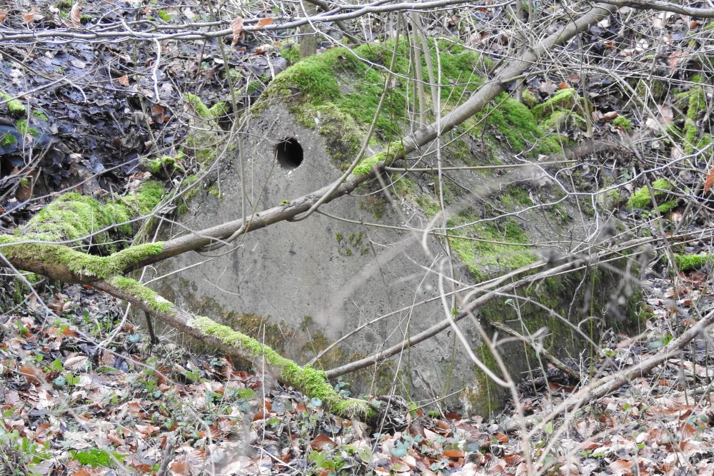 Telefoonaansluitpunt Westwall