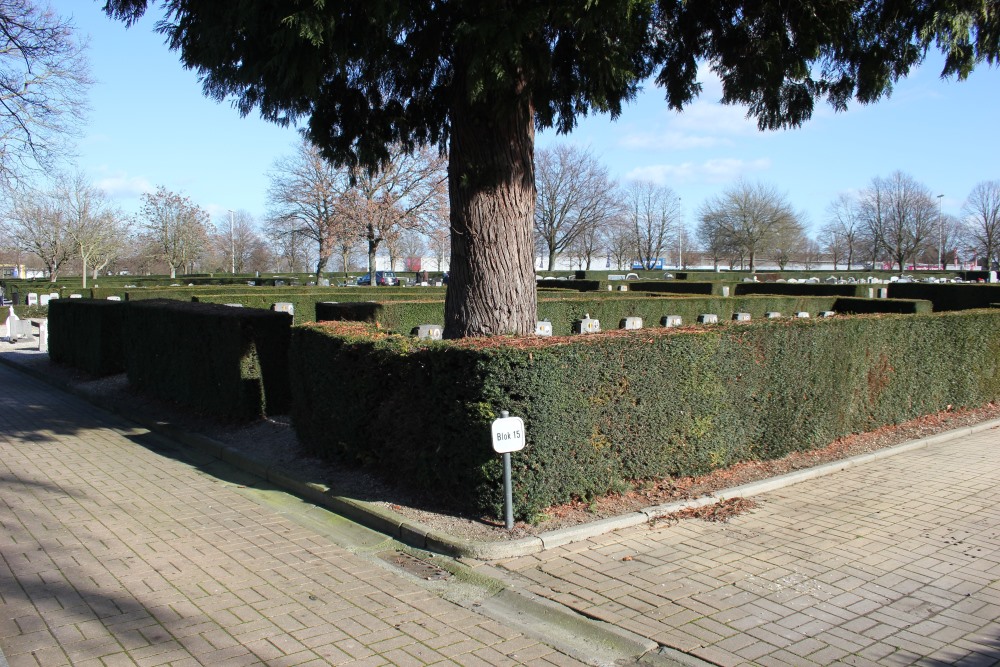 Belgian Graves Veterans Sint-Truiden Schurhoven #1