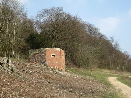 Pillbox FW3/24 Abinger Hammer