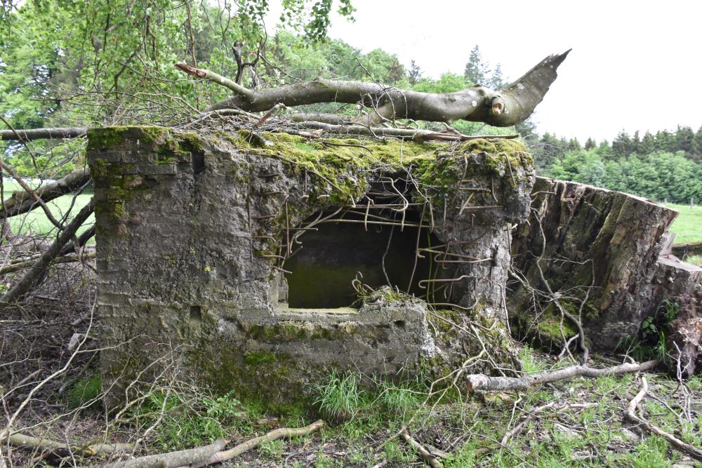 Concrete Defense Structures Devèze Line Villeroux #2