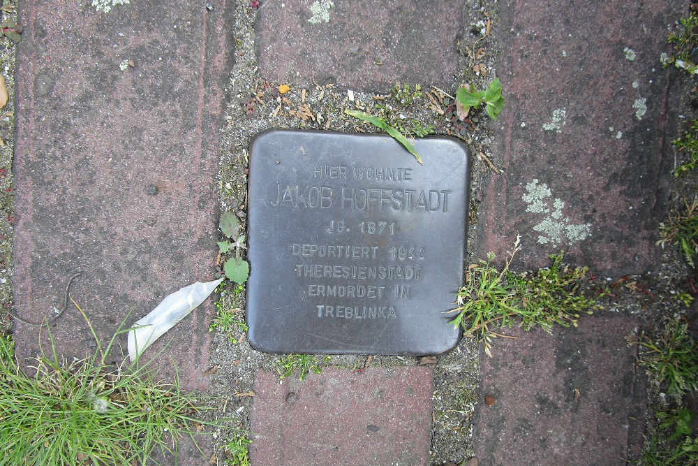 Stolperstein Hockstrae 8