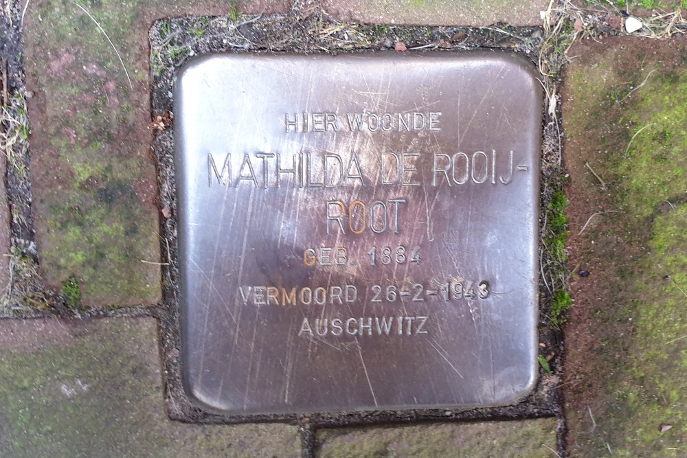 Stolpersteine Verversstraat 36 #2